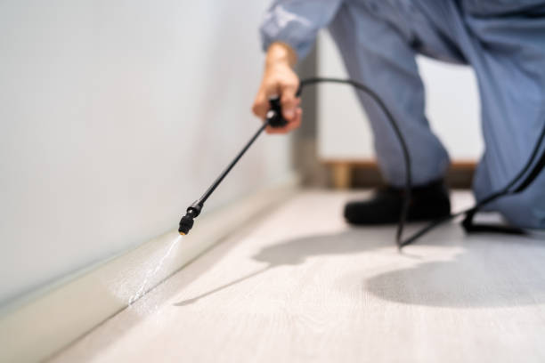 Professional exterminator conducting IPM assessment in Clarksville